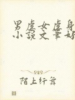 男虐女虐身现言小说文笔好