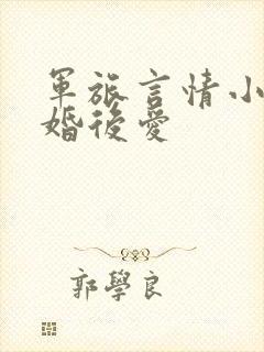 军旅言情小说先婚后爱封面