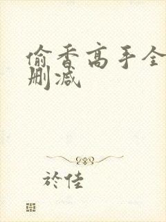 偷香高手全文无删减