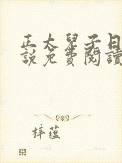 正太儿子日常小说免费阅读全文最新