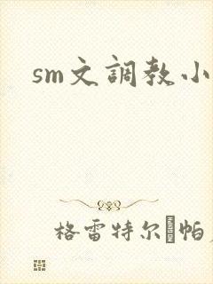 sm文调教小说封面