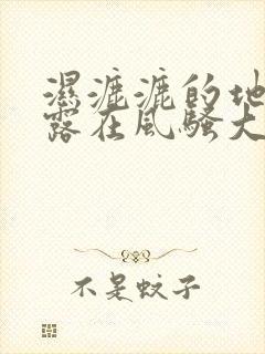 湿漉漉的地方暴露在风骚大小姐的面前