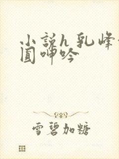 小说h 乳峰浑圆呻吟