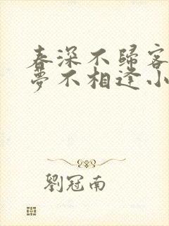 春深不归客,清梦不相逢小说阅读封面