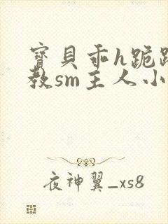 宝贝乖h跪趴调教sm主人小说