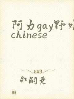阿力gay野外chinese
