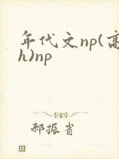 年代文np(高h)np