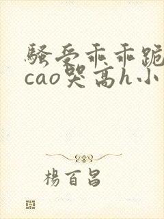 骚受乖乖跪趴被cao哭高h小说