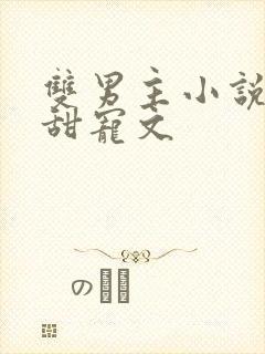 双男主小说推荐甜宠文