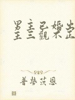 男主已婚出轨女主三观不正封面