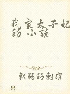 我家太子妃超凶的 小说