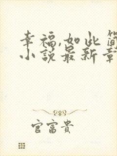 幸福,如此简单小说最新章节阅读全文封面