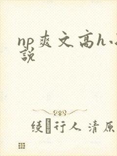 np爽文高h小说