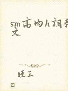 sm高肉h调教文