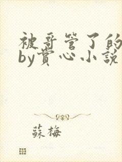 被哥管了的日子by赏心小说免费阅读笔趣阁