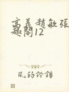 高义赵敏张倩笔趣阁12封面