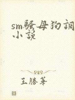 sm骚母狗调教小说
