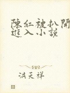 陈红被扒开双腿进入小说