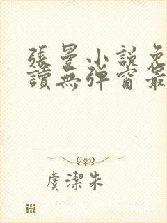 张曼小说免费阅读无弹窗最新章节