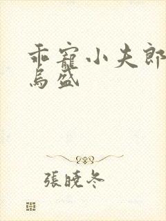 乖宠小夫郎by乌盛封面