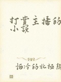 打赏主播的神豪小说