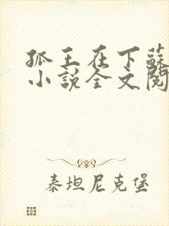 孤王在下苏开霁小说全文阅读