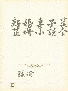 新婚妻子菜老板芷姗小说全集
