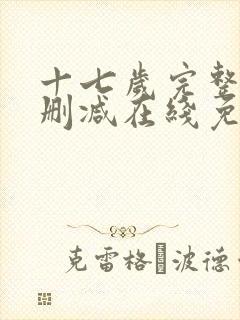 十七岁完整版未删减在线免费观看封面