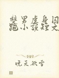 双男虐身囚禁逃跑小说短文封面