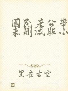 国民老公带回家未删减版小说封面