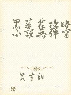 黑莲花攻略手册小说无弹窗无广告