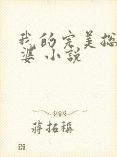 我的完美总裁老婆 小说