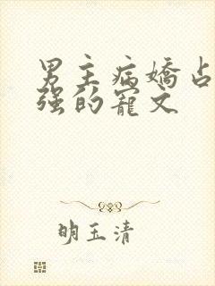 男主病娇占有欲强的宠文