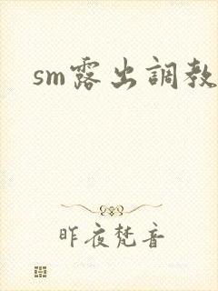sm露出调教文封面