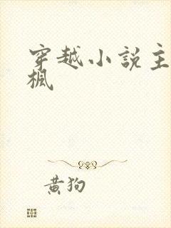 穿越小说主角林枫