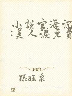 小说官海沉浮之:美人泪免费阅读全文封面