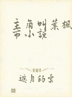 主角叫叶枫的都市小说