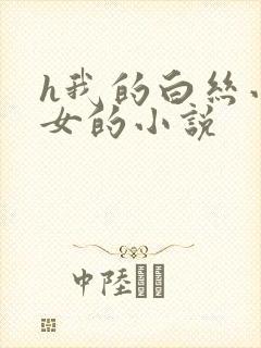 h我的白丝小侄女的小说
