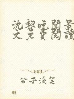 沈黎晚闻景川全文免费阅读