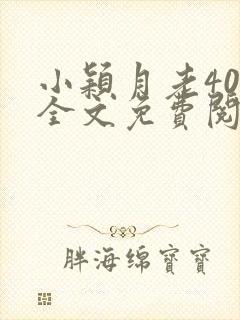 小颖月老400全文免费阅读