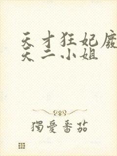 天才狂妃废材逆天二小姐