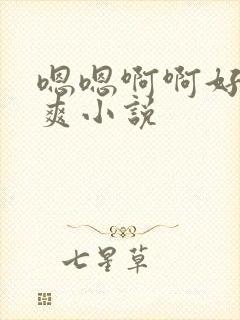 嗯嗯啊啊好大好爽小说