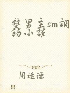 双男主sm调教的小说