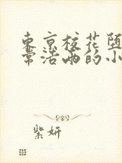 东京校花堕落日常浩两的小说封面