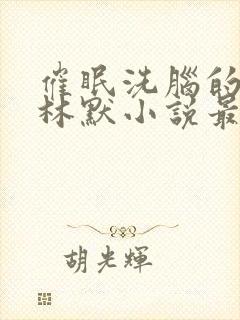 催眠洗脑的姐姐林默小说最新章节更