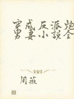 穿成反派炮灰的男妻小说全文阅读