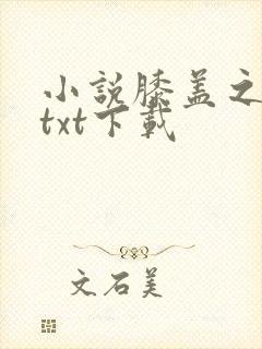 小说膝盖之上啊txt下载