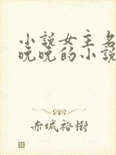 小说女主名叫林晚晚的小说