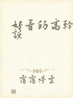 好看的高干文小说