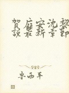 贺庭安沈黎初小说最新章节更新内容